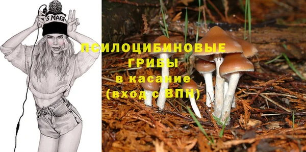 mix Карпинск