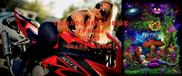 mix Карпинск
