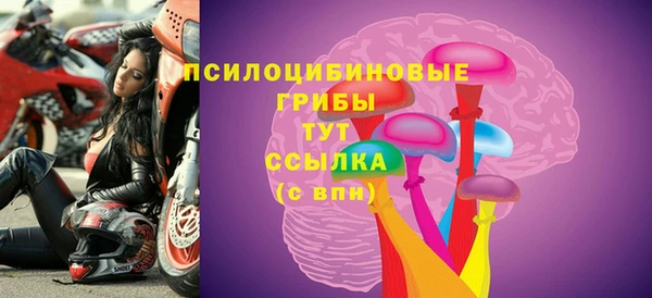 mix Карпинск