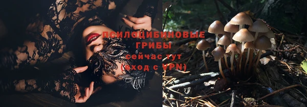 а пвп мука Анива