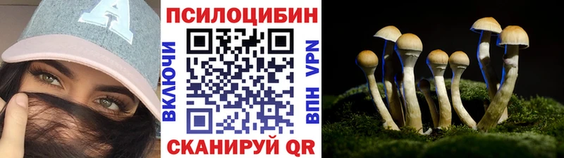 Галлюциногенные грибы Magic Shrooms  Купить  Новоузенск 